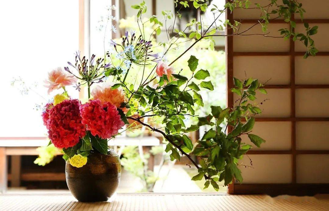 日本「花道99插花」,体现大自然生生不息的美好_文化_艺术_流派