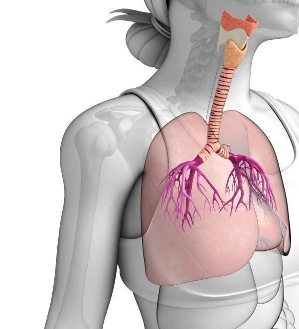 空气|慢性咽炎反复发作？其他因素您注意了吗？
