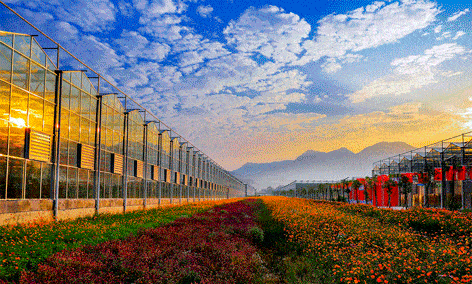 武功山花涧里新春灯会嘉年华!春节盛大开幕!免费花涧里门票无限送!_萍