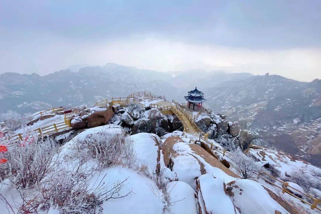 系列|局长代言“文旅带货”直播，快来看看崂山在直播间里为您准备了哪些好物！