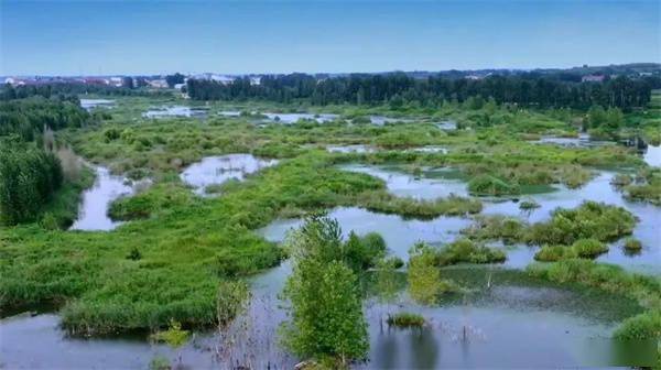 高密胶河湿地公园图片图片