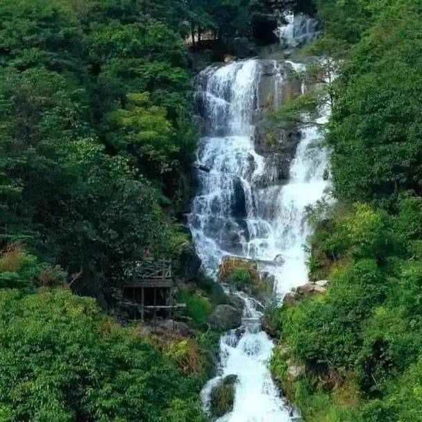 春节揭西大洋别墅套房轻奢野餐篝火烟花晚会套餐_龙山_峡谷_早餐