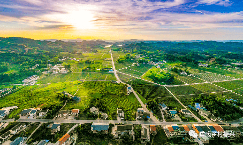 川渝将共建美丽巴蜀宜居乡村示范带先行区