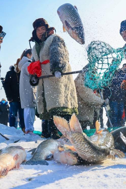 游客|新疆博斯腾湖：冬捕盛宴 鱼跃人欢