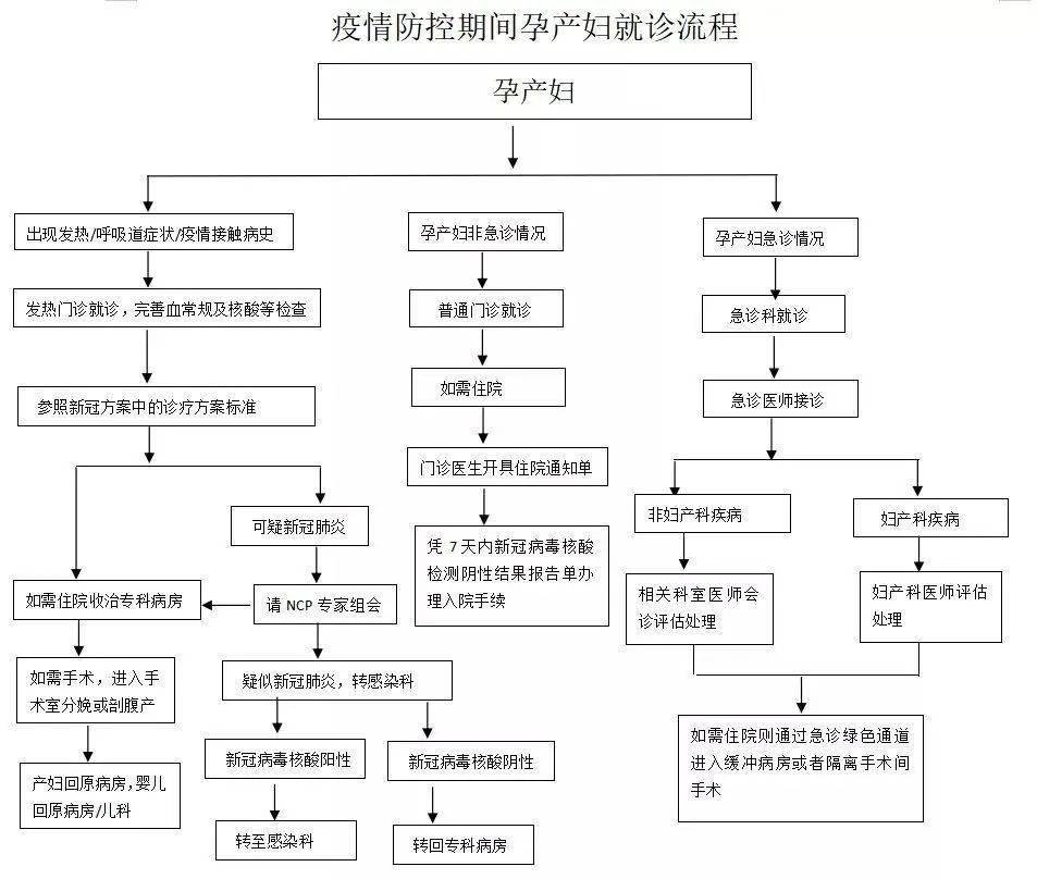 异位妊娠诊疗流程图图片