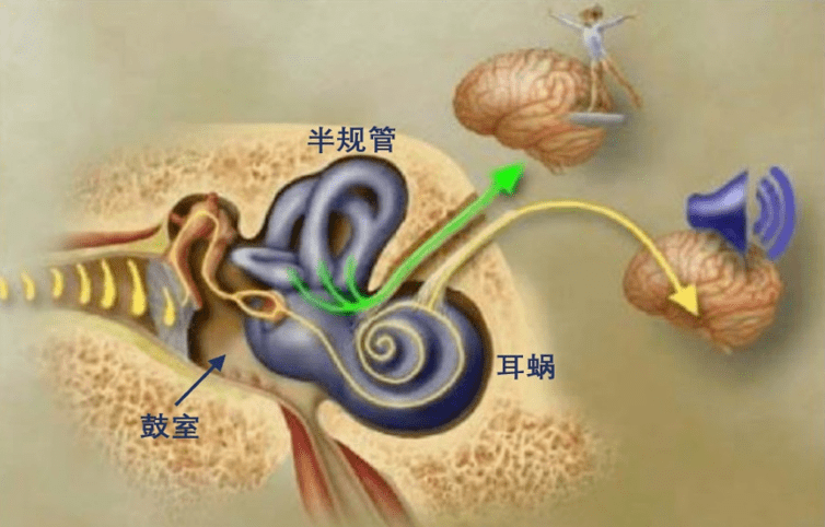 011815168c1c44fa95b5bfc3e837204c.png