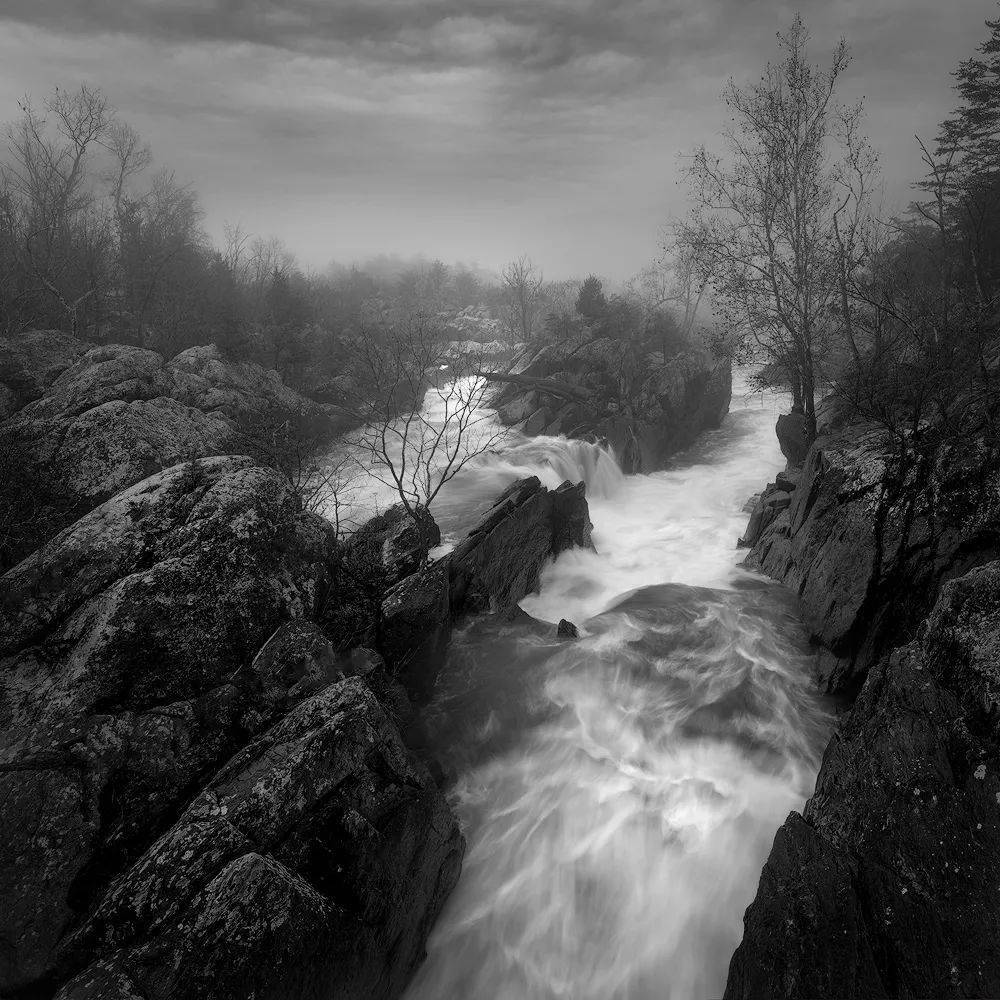 年度世界黑白摄影大赛的获奖作品艺术的享受