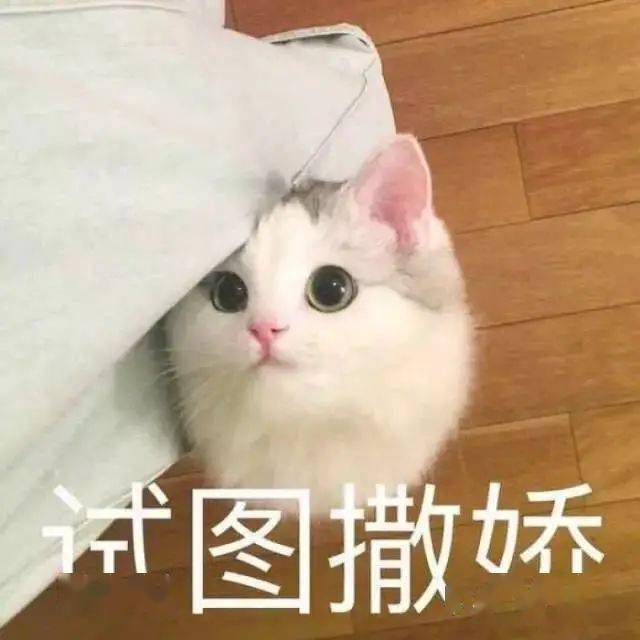 肿块|46岁女子陪读被气到急性脑梗死！厦门妈妈控诉“血泪”史：我辅导三年，现在乳腺肿块刚做完手术...