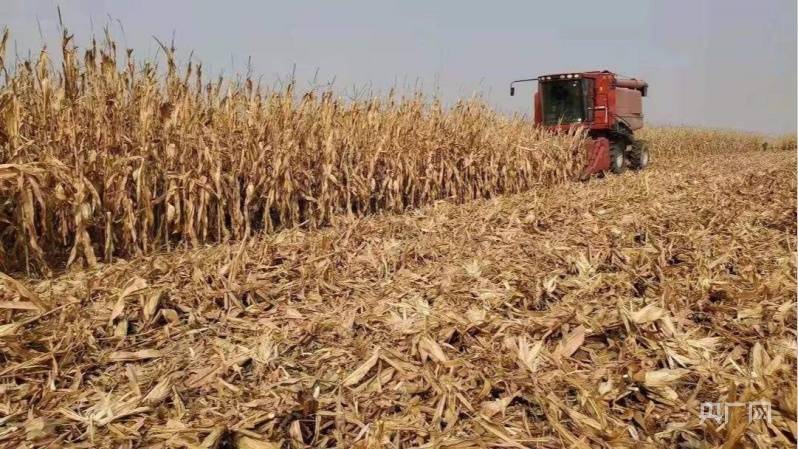 【开局十四五】 辽宁：东北振兴激活绿色智造红利 老工业基地变身吸金“强磁场”