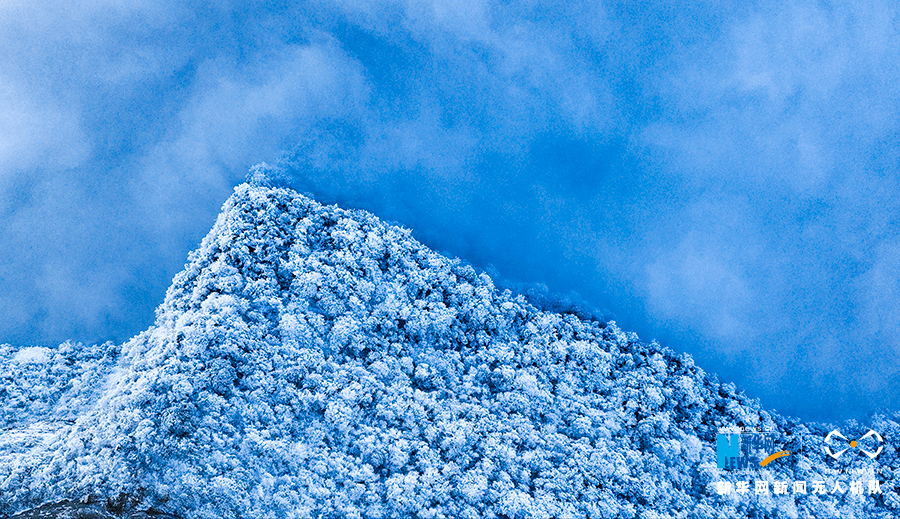 大雪|重庆金佛山：雪落景成 气势磅礴