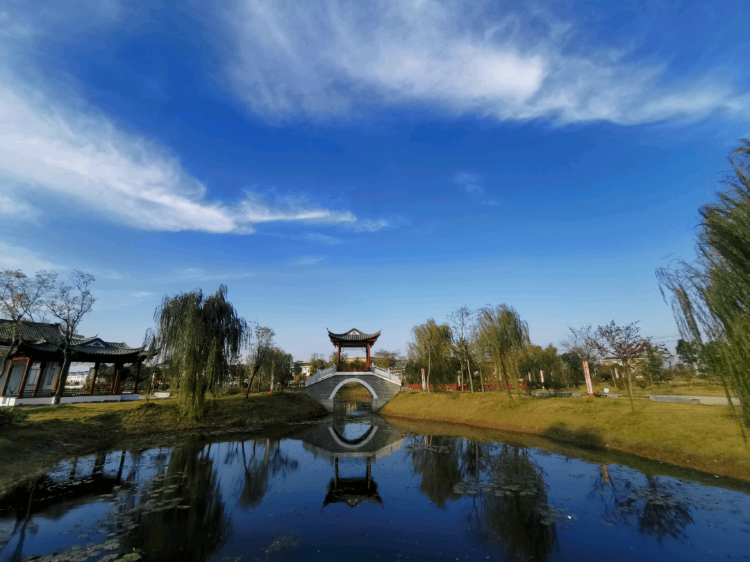 【城镇创建】万寿镇:激发乡村振兴活力 绘就美景万寿画卷