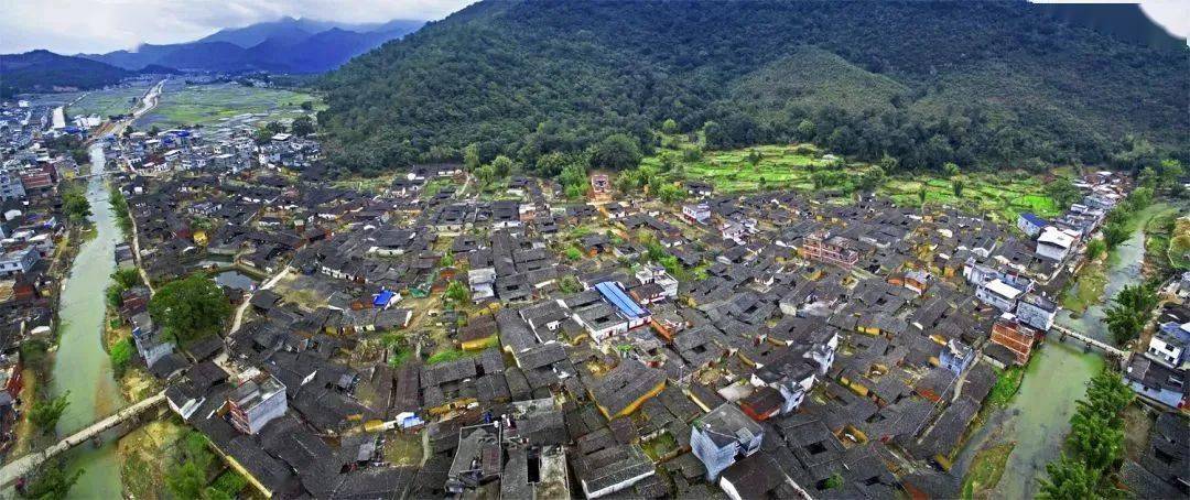 园参与其中清流赖坊古镇-樱花园正在推荐网红打卡地近日,全市各县(市