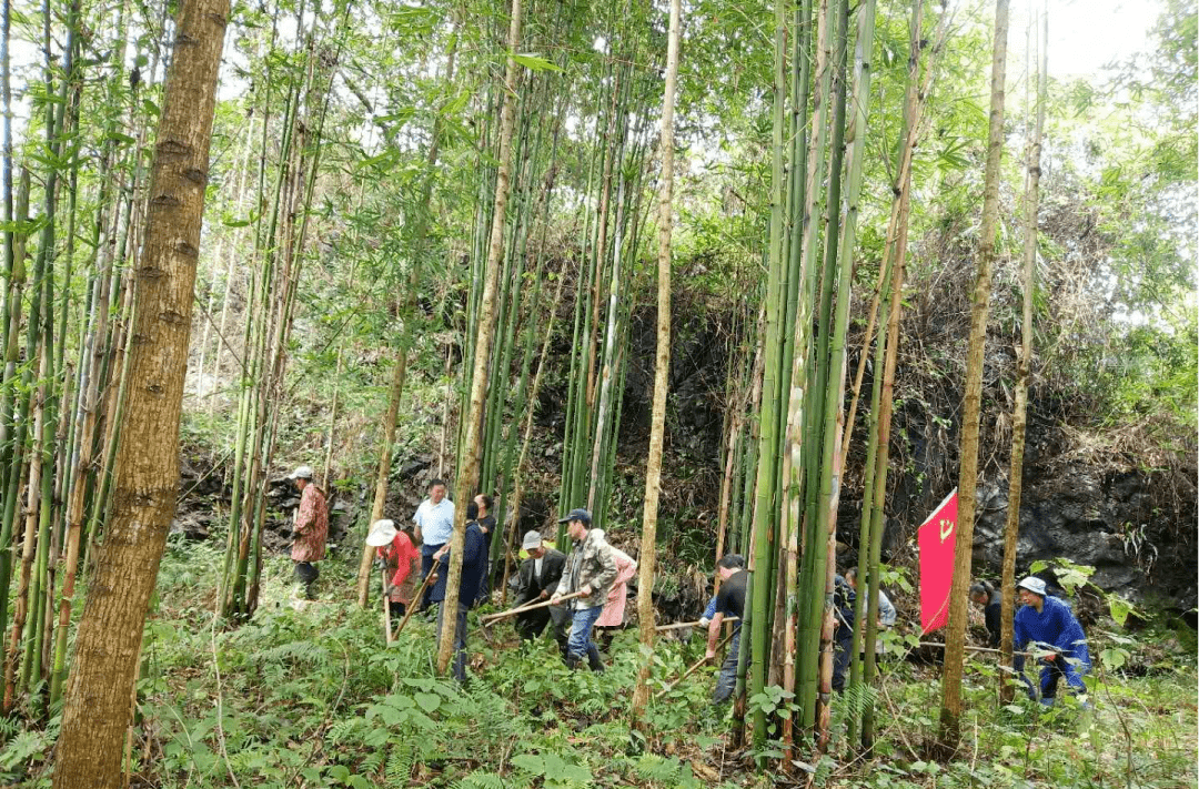 盐津县艾田村聚焦人才培养助力乡村振兴