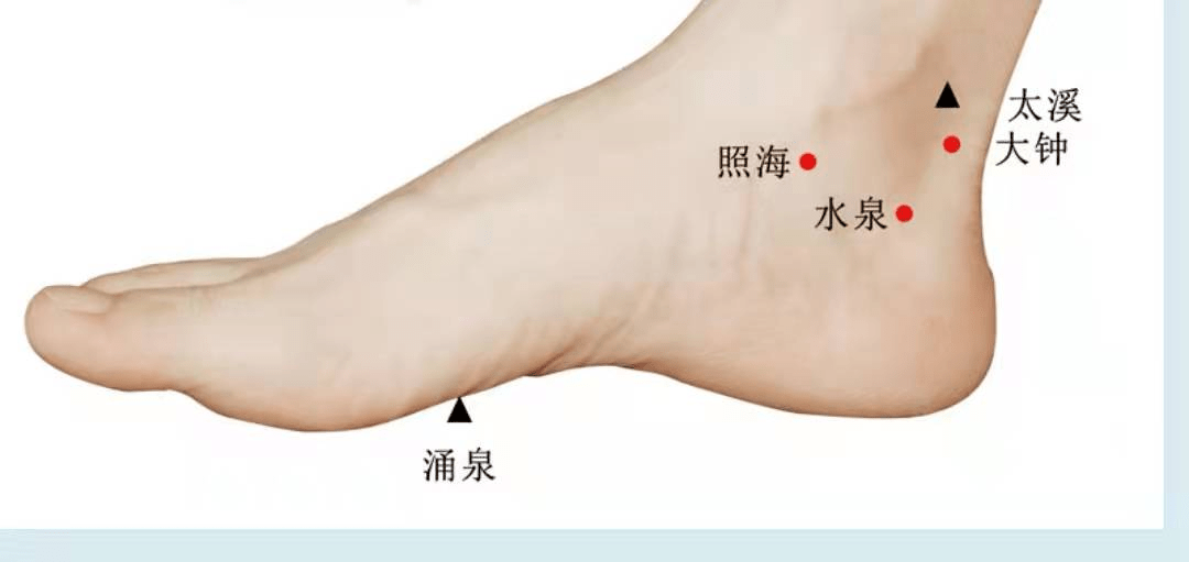 按揉照海穴位于内踝尖直上3寸,胫骨后缘.