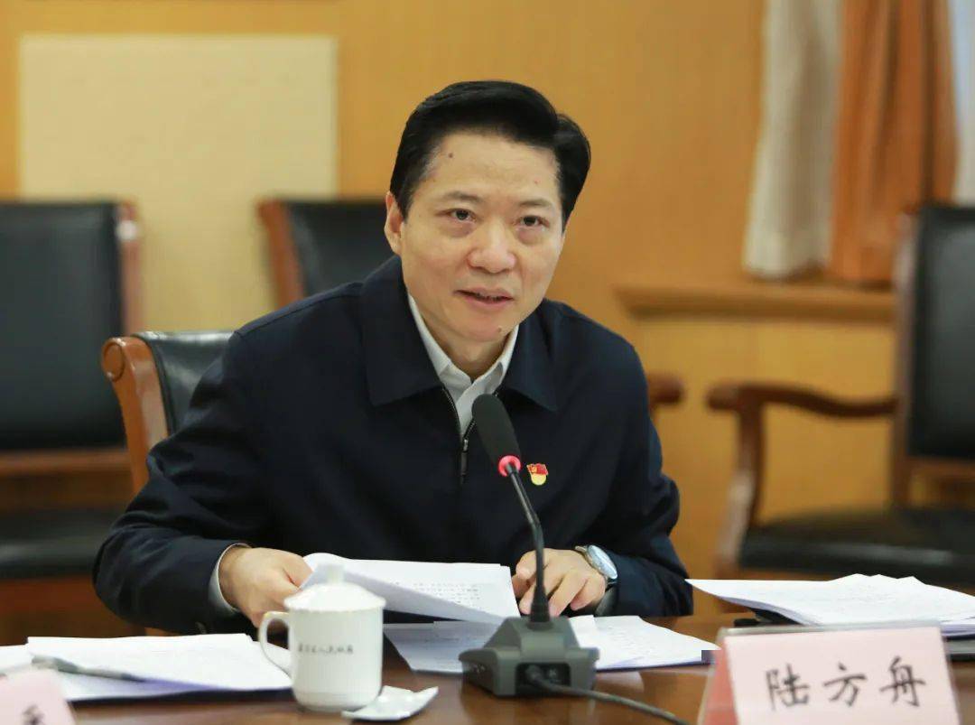 嘉定区委常委会召开党史学习教育专题民主生活会_陆方舟_问题_精神