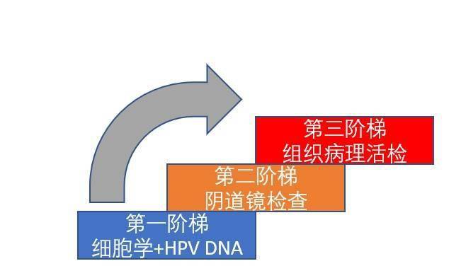 产后半年反复下体出血,这种癌症已经可接种疫苗预防_检查_筛查_沈媛