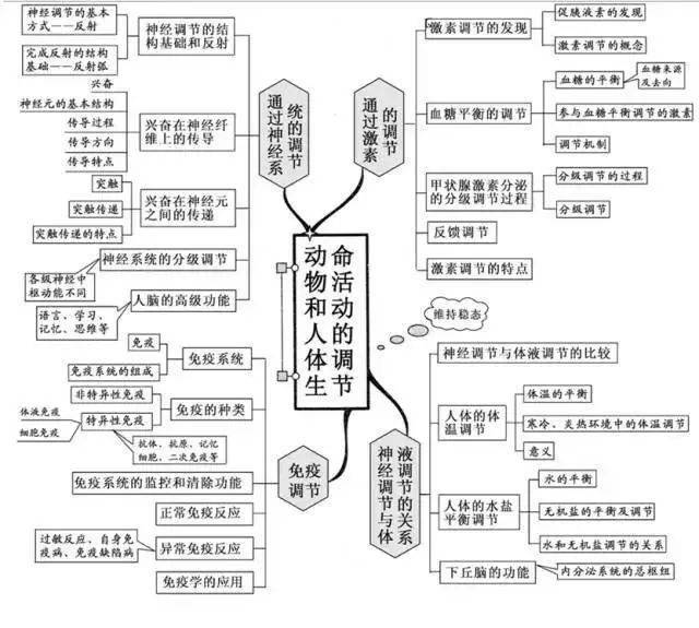 高中|高中九大学科思维导图最全汇总，高中三年都适用！（收藏）