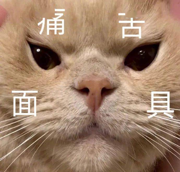 拍奶茶视频抖音最火 03abe0f4fe194a66a94f2c26c9f8cfe3.jpeg