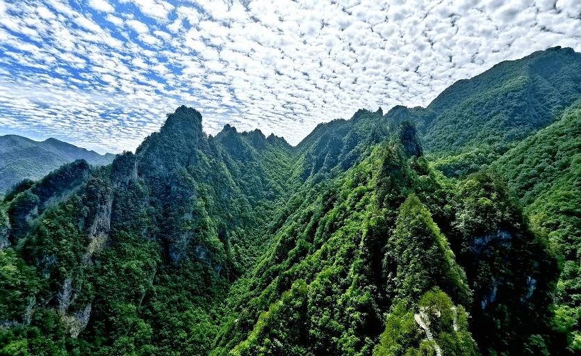 一把手開麥董奕鋒城口打造三谷建生態優先綠色發展示範縣