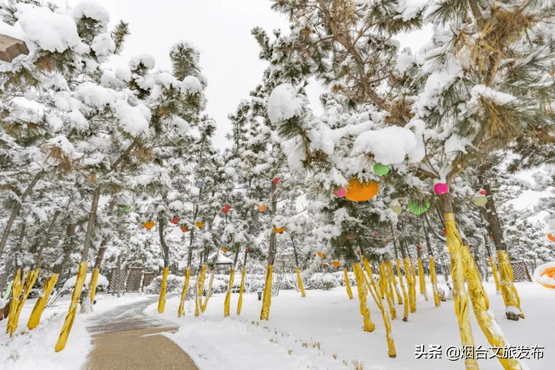 艾山|北国风光美到极致！这里藏着“山东的唐古拉”！去过都会上瘾……