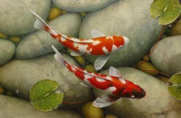 加拿大画家特里·吉列基锦鲤写实油画作品欣赏