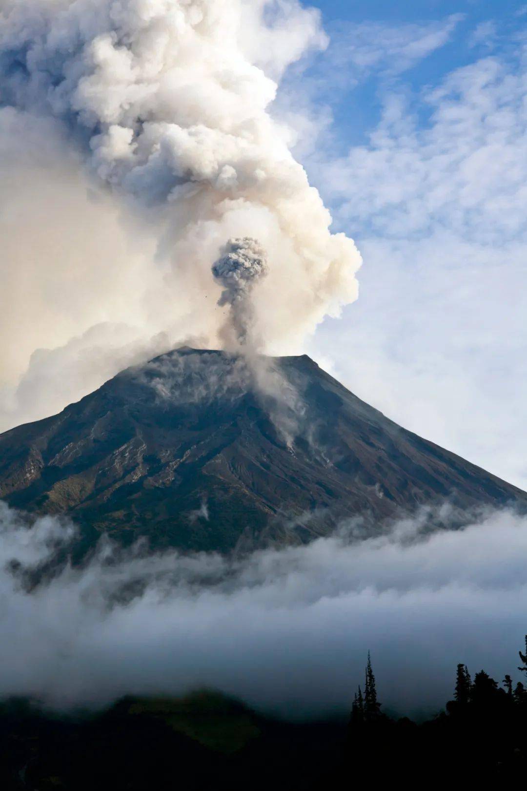 汤加火山喷发的原因图片