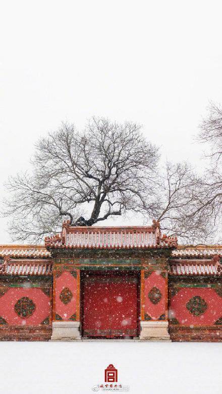 故宫|当故宫遇上大寒瑞雪