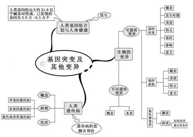高中|高中九大学科思维导图最全汇总，高中三年都适用！（收藏）