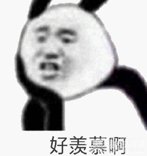 d64007d20dd8416492568e5918361260.jpeg
