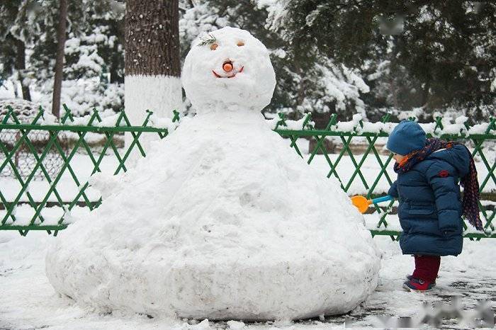 装备|新华全媒+｜寒假的快乐哪里来？这些冰雪运动请收好