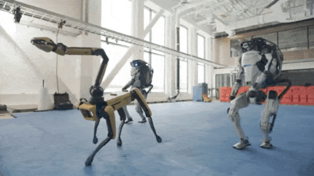 【比特熊故事汇】1月MVP英雄故事｜R语言实践者与人工智能探险家的华丽开场