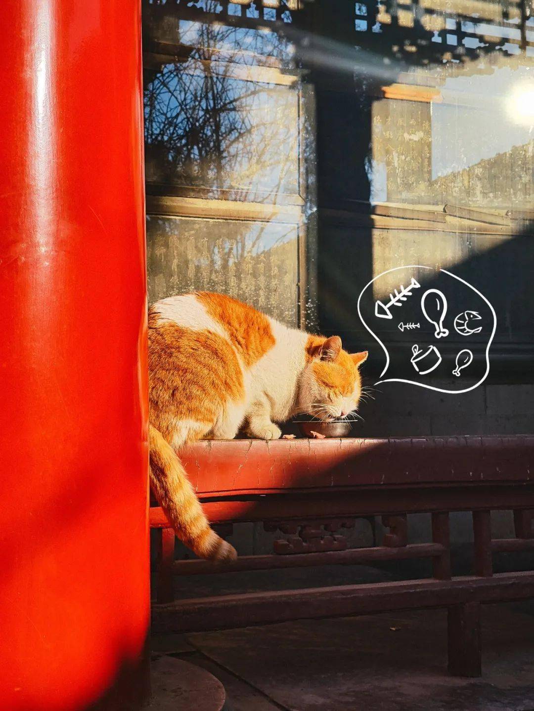 贺岁|顶流明星贺岁,送你全年表情包