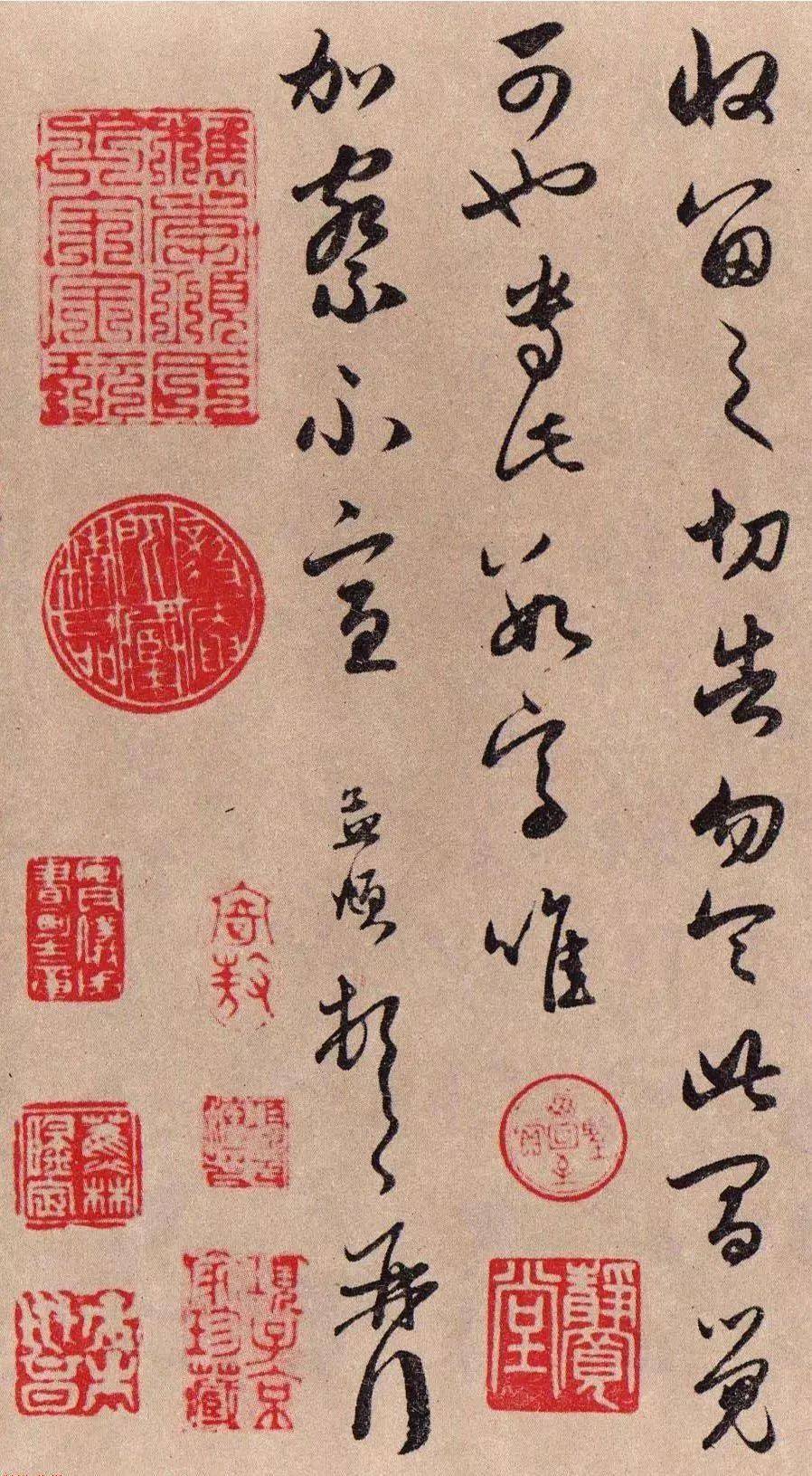 见过赵孟頫写的草书么