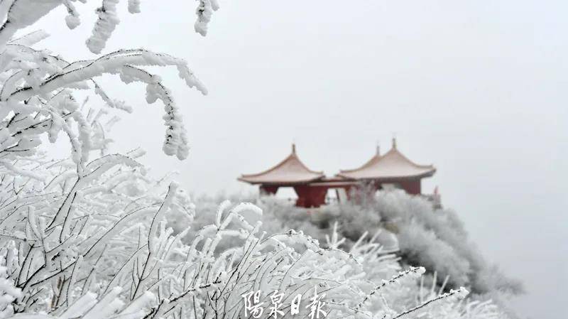 平台|宅家也能赏雪？速点击，看看雪后的狮脑山→