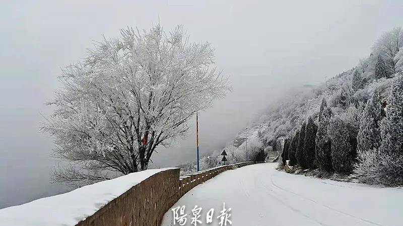 平台|宅家也能赏雪？速点击，看看雪后的狮脑山→