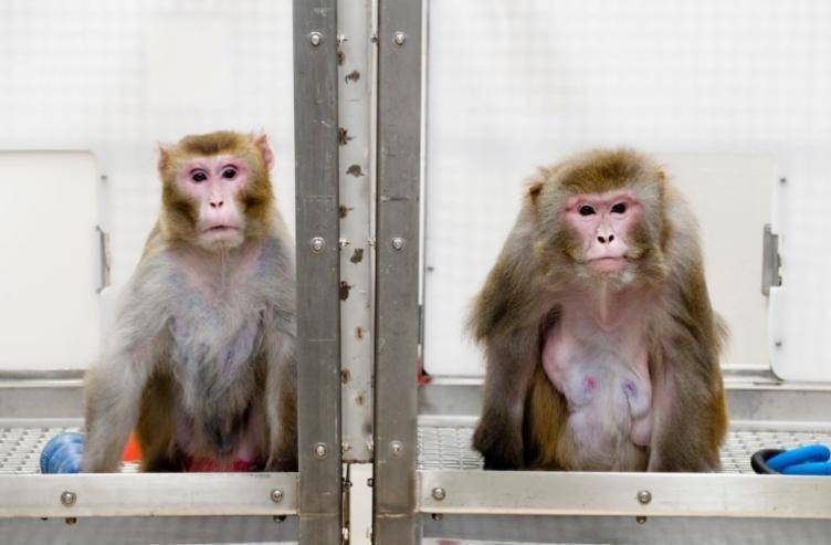 最高120万、最低0成本，这些爆火科技真能让人剩余寿命翻倍吗？