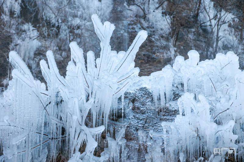 云台山|大寒时节迎降雪！河南云台山雪景雾凇美若仙境