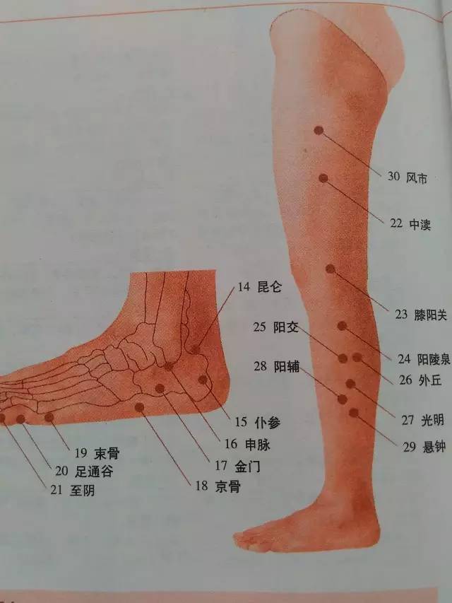 下肢_头面_脚心