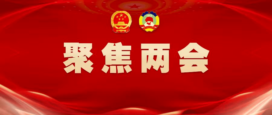 图片 政协开幕大会上，丁纯书记这些话催人奋进！