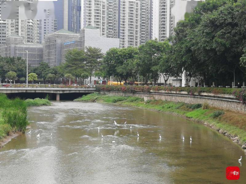 生态环境部答南都广州污水治理像绣花提升了城市管理水平