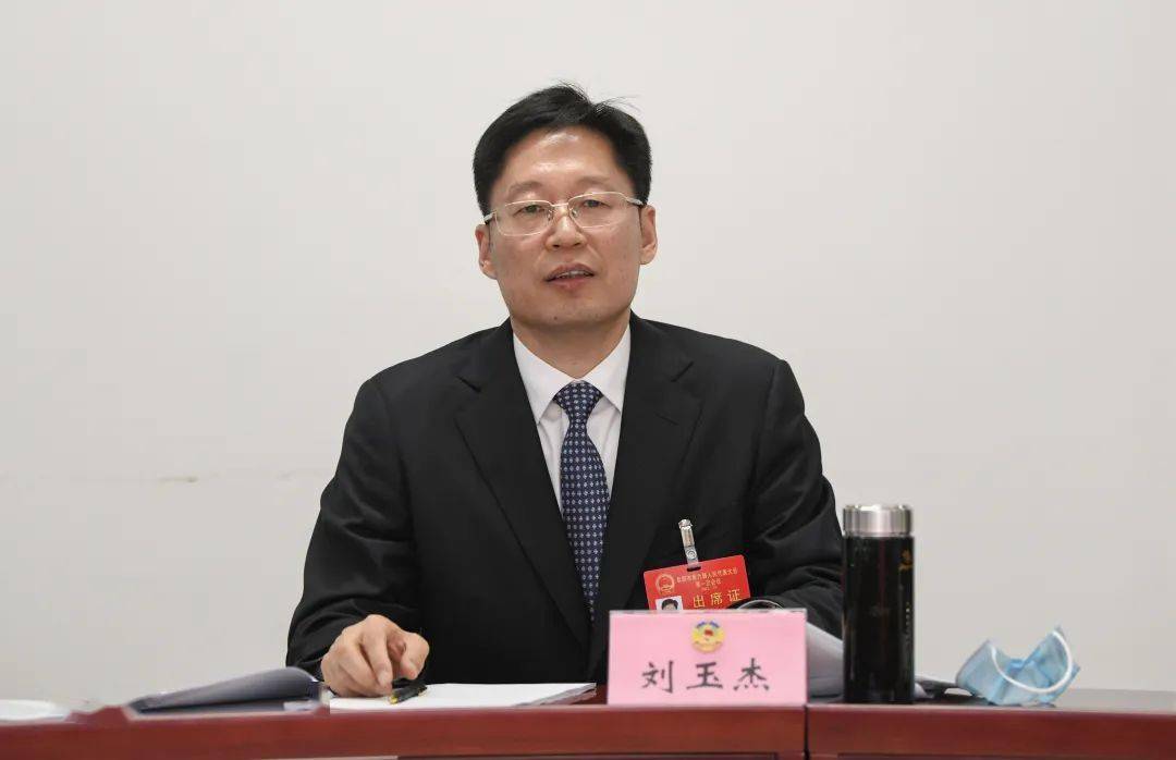 刘玉杰参加市政协六届一次会议教育医卫界别分组讨论