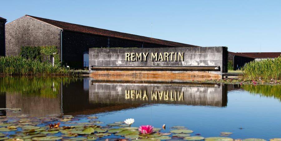 人头马酒庄与天体物理学家克里斯托弗·加尔法德合作探索宇宙