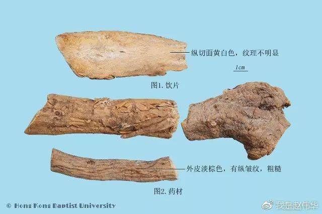 中藥鑑定學速記歌訣帶圖譜