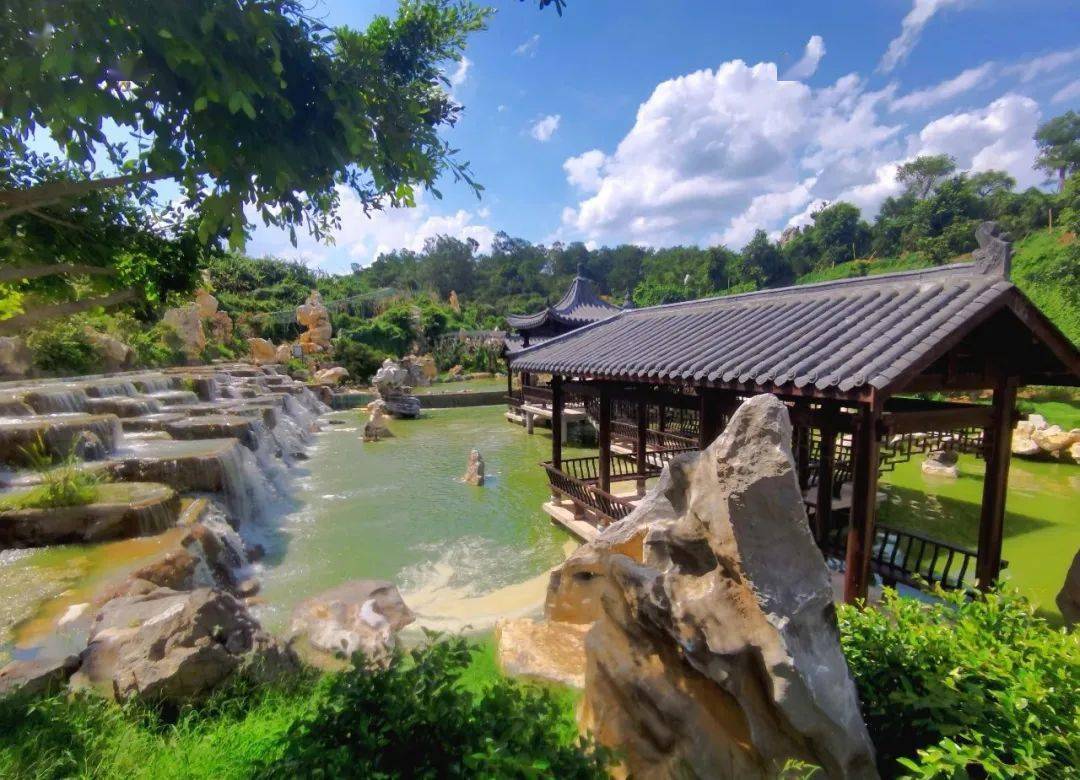 热烈祝贺茂名中旅高州凤凰园信宜钱排双合村首发团出团高州岭南凤凰园