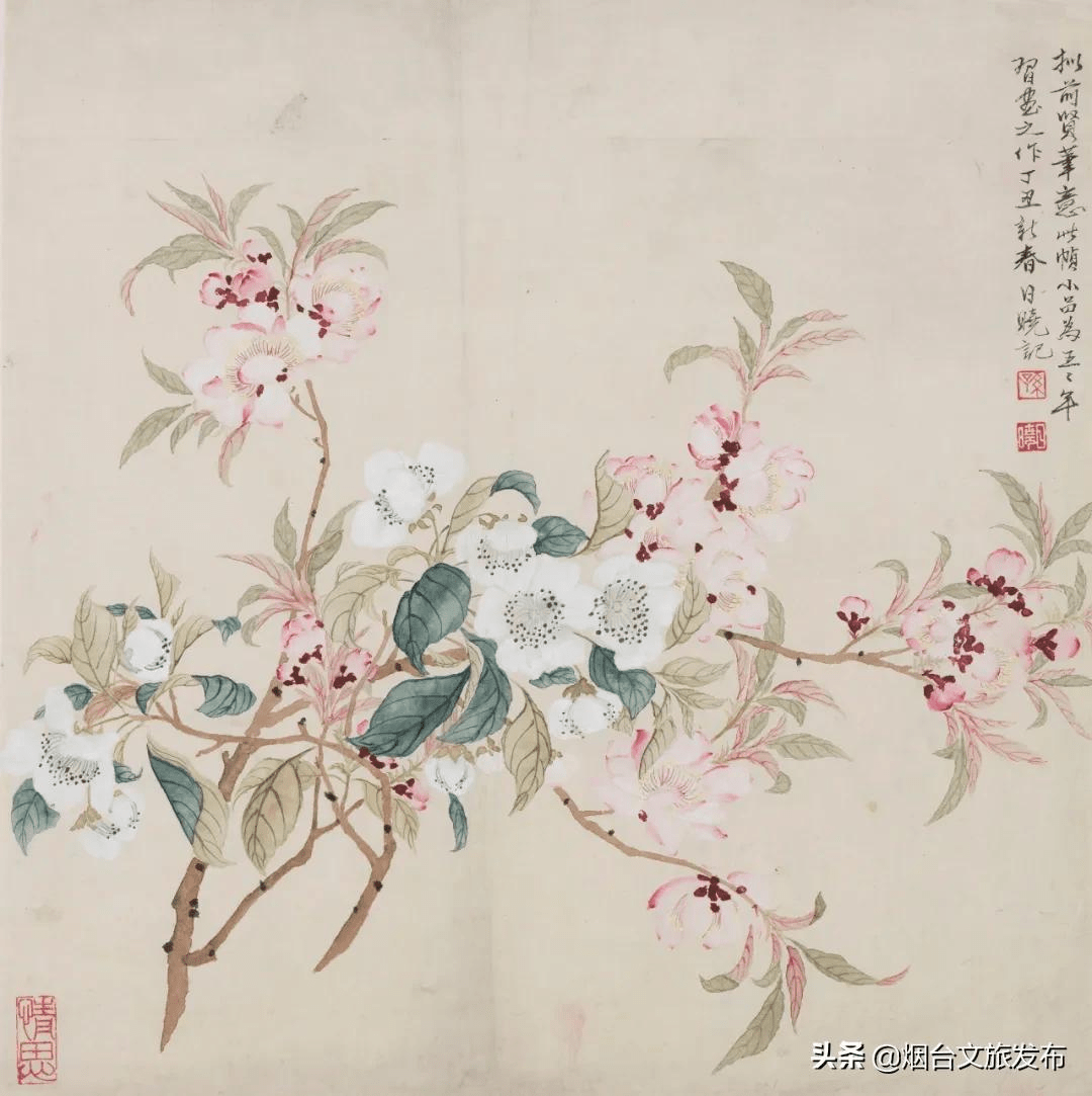 作品展|来美博 看大展 “万紫千红总是春——馆藏花鸟画作品展”明日启幕！