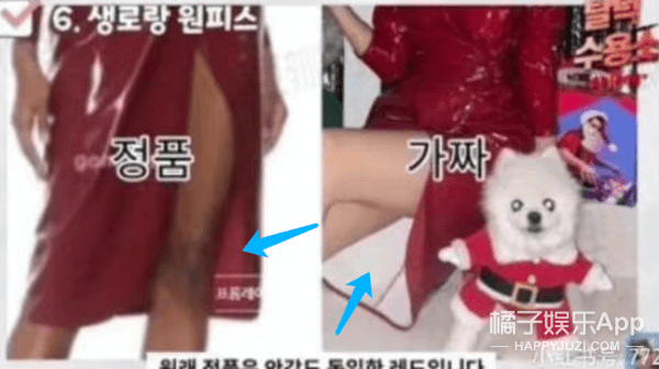 网友宋智雅假货