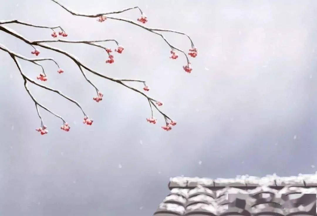 夜雪 方寸 信号 尘土