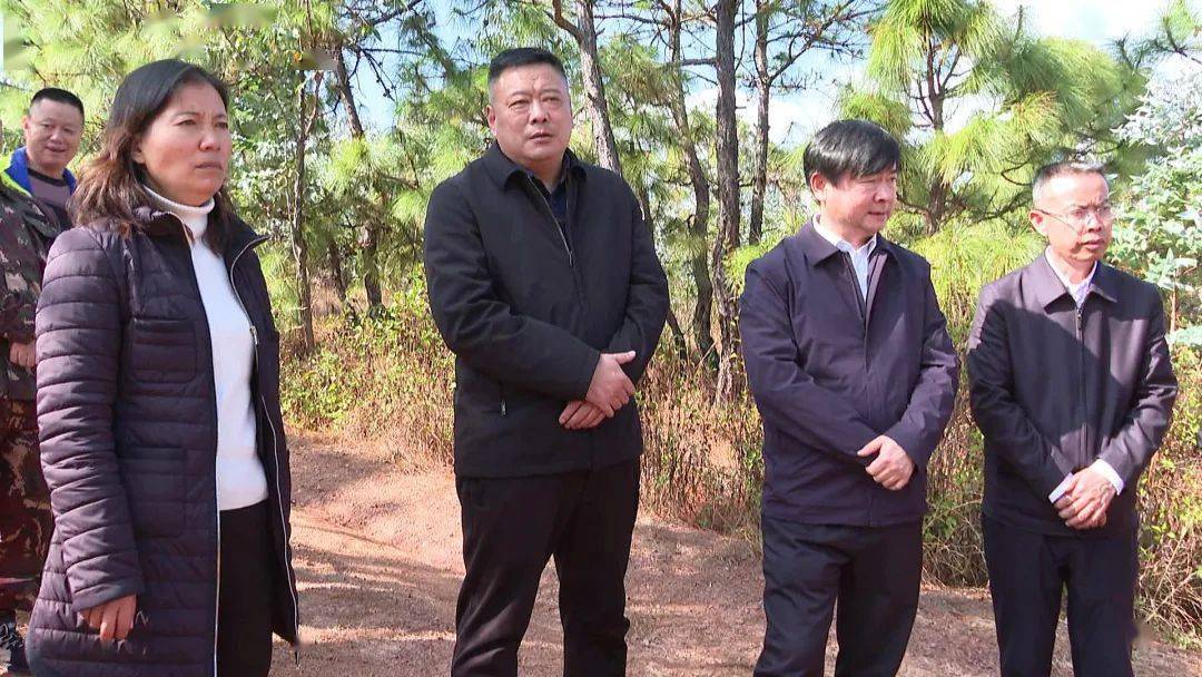 副州长李国民就石屏县推行林长制工作情况进行检查调研