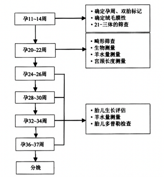 双胎需要多久做一次b超