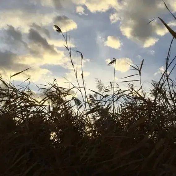 文学‖诗歌《秋风吹动》_尘世_旷寂_乔光伟